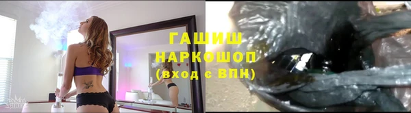 дмт Переславль-Залесский